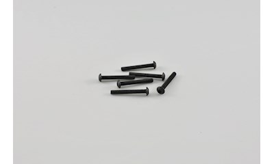 Button Head Screws M3x22mm (6pcs)